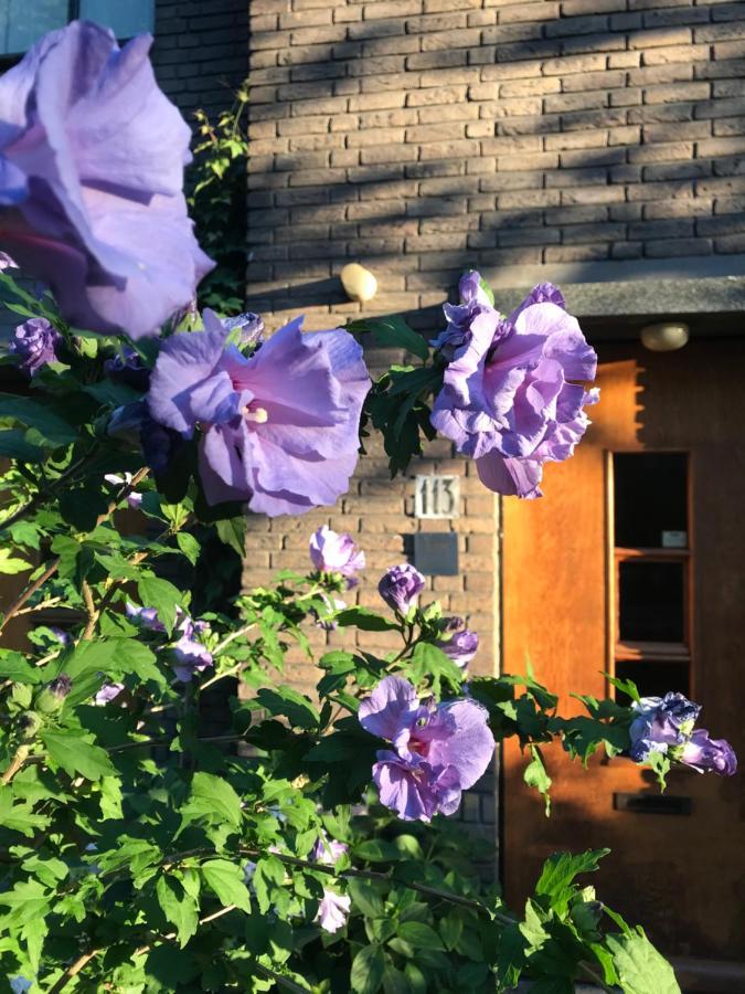 Eikenburg B&B Эйндховен Экстерьер фото