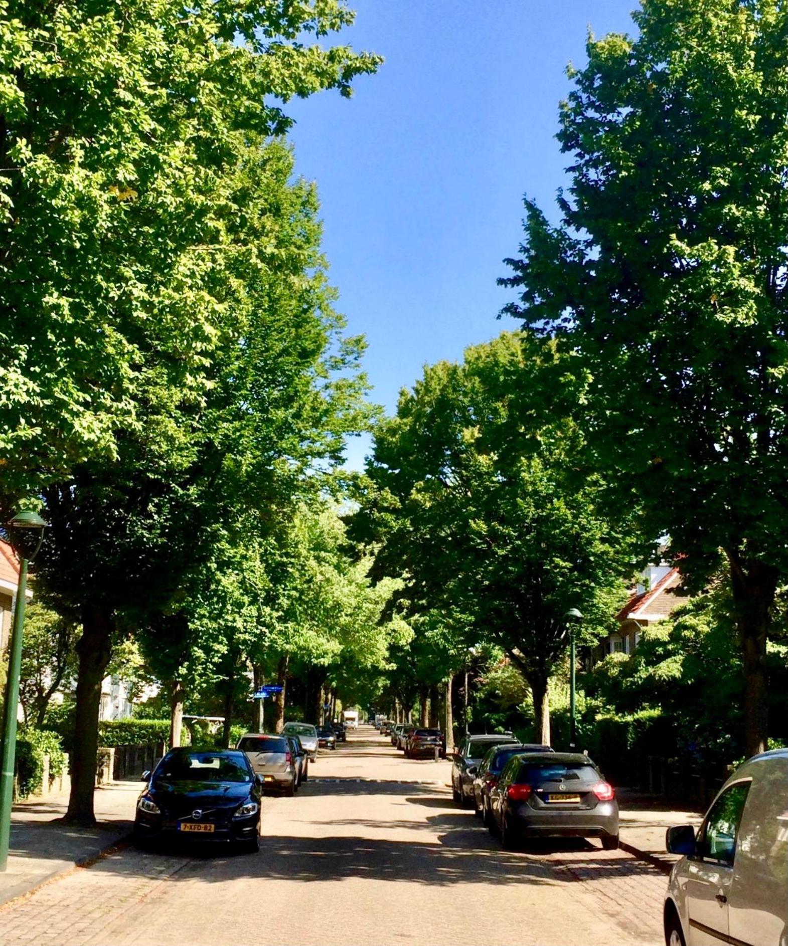 Eikenburg B&B Эйндховен Экстерьер фото